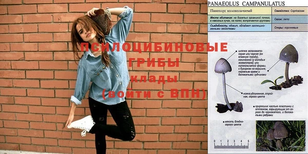 экстази Абинск